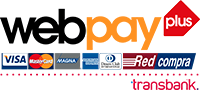 https://www.vidanueva.cl/wp-content/uploads/2025/08/logo-web-pay-plus.png